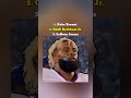 Top 3 Unlike Me Edits 🥹 Nba Basketball