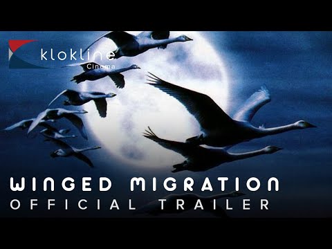 2001 Winged Migration Official Trailer 1   Galatée Films, Sony Pictures Classics