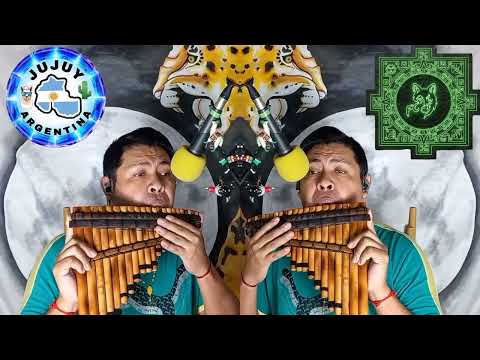 Wind of change - Viento de cambio (Scorpions)/Fernando Chañi (Fraile Pintado🍅 Jujuy🌵 Argentina🇦🇷)