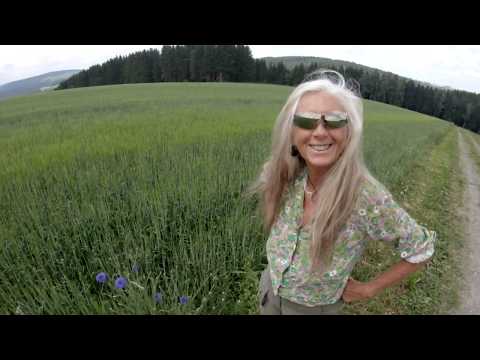 Mohn- und Kornblume/"FRASS DES IMPERIUMS"