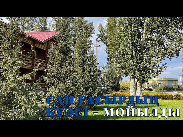 Сан ғасырдың куәсі - Мойылды