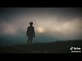 Dhani Premala Nennu Padhittina Song
