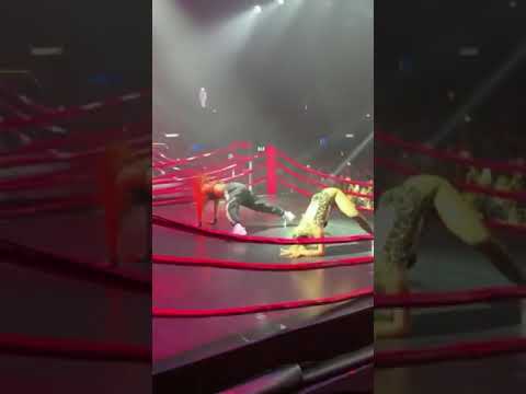 Rebecca e Luísa Sonza deslizo e jogo 'festa combatchy'