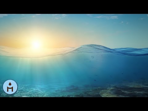 Entspannungsmusik 100% Wellness, Entspannung und Ruhe zum Schlafen, Meditieren, Entspannen