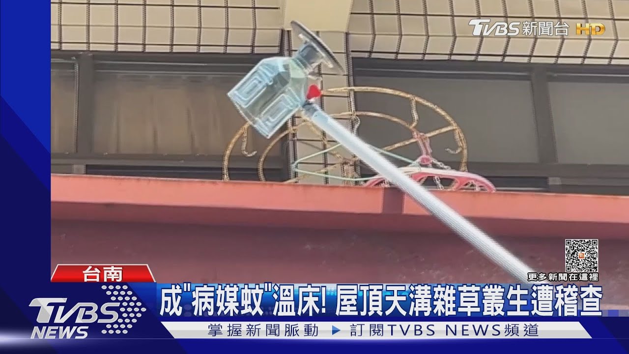 「這兒」成病媒蚊溫床!登革熱爆發百日 傳王必勝南下坐鎮