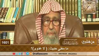 1601 - ما معنى حديث: ( لا عدوى)؟ - الشيخ صالح الفوزان image