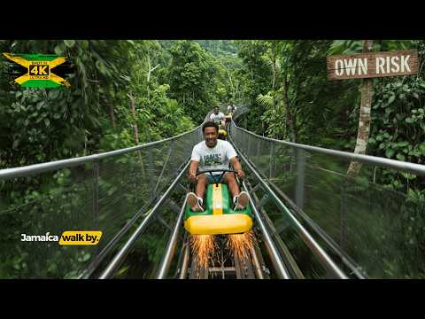 ✓ DO THIS AT YOUR OWN RISK Mystic Mountain Jamaica Adventure 🇯🇲