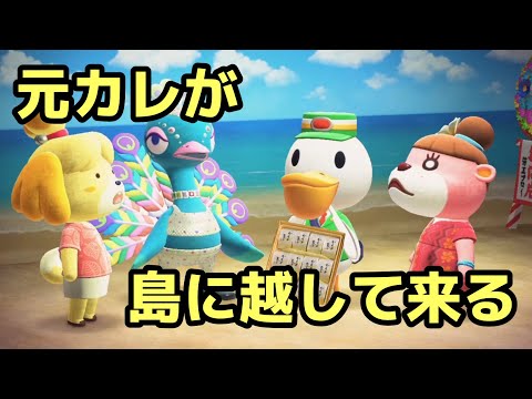 【第7話】愛♡魚ん虫〜I want you〜元カノたちのマーチ【あつ森ドラマ】