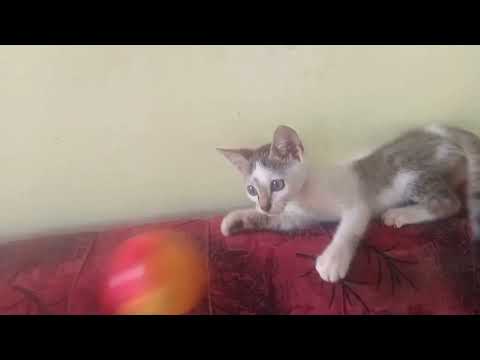 🥰🥰😊😀👍💪