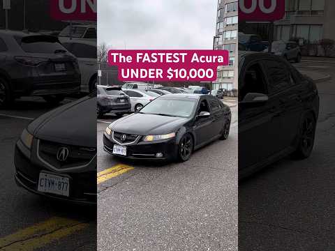 My Thoughts on the FASTEST Acura under $10,000 (TL Type-S)