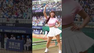 スカートひらり😺猫耳丹丹 💃 #台湾チア #cheerleader #치어리더 新莊棒球場 2024/5/12【台湾チアTV】