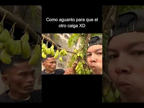 Aguanto para las risas... #memes