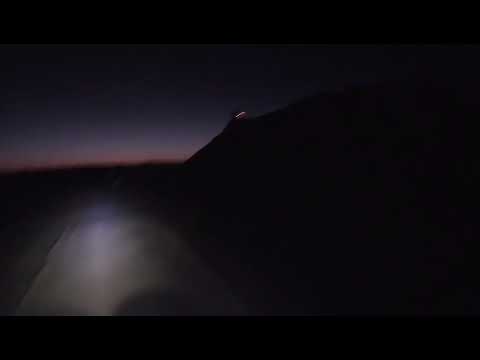 Venado tuerto Santa Fe