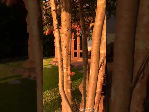 Cabana do Ermitão #brazil