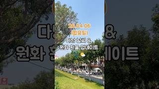 26.04.06 다낭 여행 전 꼭 확인! 오늘의 날씨 & 환율 정보 한눈에 정리 ✈️#다낭여행 #베트남여행 …