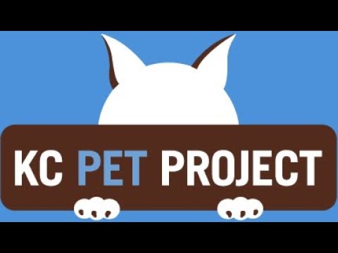 Shannon Wells Unsung Hero from Kansas City Pet Project - YouTube