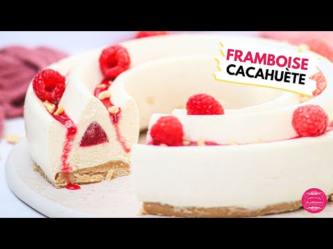 Vanilla Raspberry and Peanut Entremet