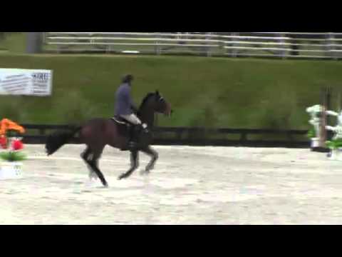 Video of D.A. Vittoria ridden by Silvio Mazzoni from ShowNet!