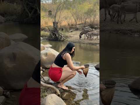 A calmaria do sertão não tem igual 🌻| FLOR DO SERTÃO