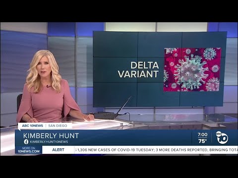 ABC 10News at 7pm Top Stories