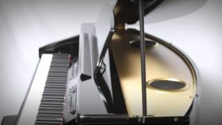 Video thumbnail for Suzuki MDG-300 Micro Grand Digital Piano by SuzukiMusicUSA1