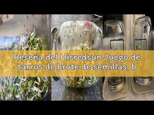 Vídeo relacionado con Beauty Gift Egipto Red yellow blue beetle atonism Bolso Cinch Plegable Vegetal Fruta Tela