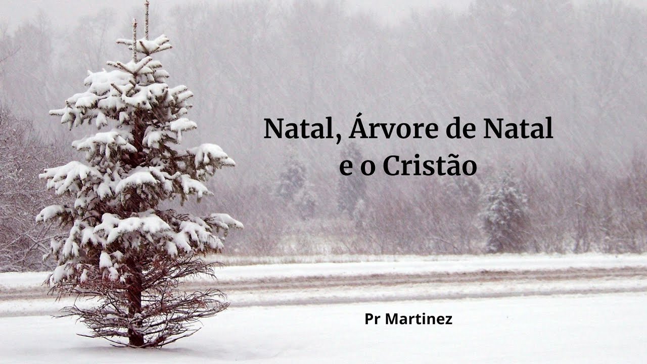 Natal, Árvore de Natal e o Cristão