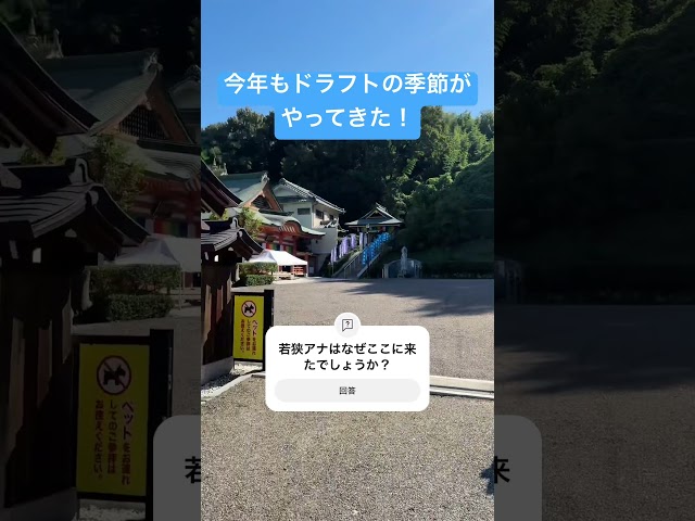 【みんなが待ってた】若狭アナ「私にとっての聖地＆庭です」 #ドラフト #ドラフト祈願 #ドラゴンズ #若狭アナ #ドラゴンズ
