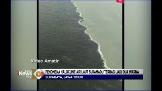 Download lagu Inilah Penampakan Fenomena Halocline, Air Laut Suramadu Terbagi Menjadi Dua Warna - LIP 21/03 mp3