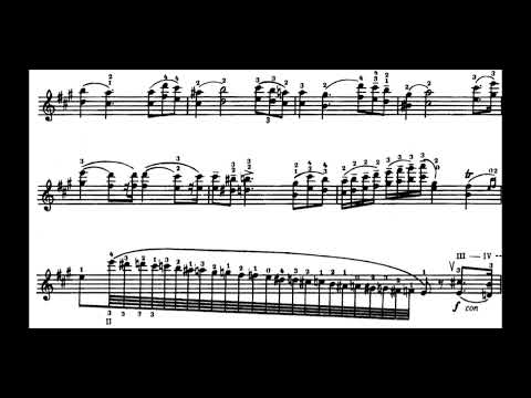 N.Paganini: Caprice No.21 (Ray Chen)