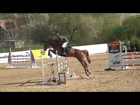 Okawango v. Ogano Sitte - Cornet Obolensky, OS Hengst, gekört, * 2018