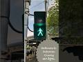 Pedestrian Signal Crossing In Melbourne Australia Telugu Vlogs