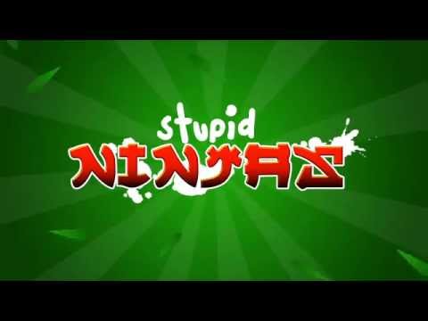 Stupid Ninjas Video