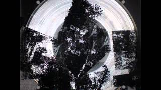 P16.D4 & Merzbow - (Fifty)