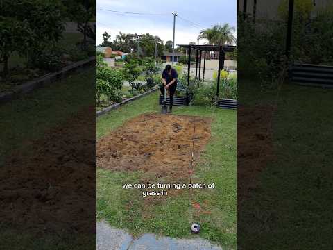 GRASS TO GROCERIES 🍓🥭🥑🌳  new garden from scratch #gardeningvideos #growfoodnotlawns