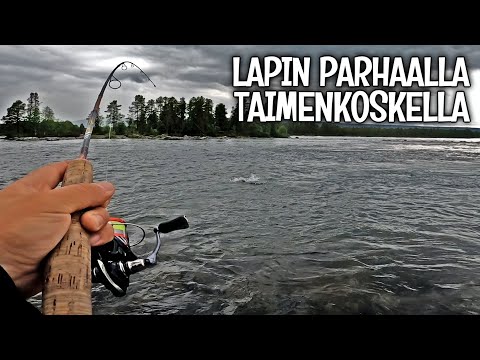 TAIMENTA RUOKAPÖYTÄÄN - KALASTUS UKKOSELLLA ON VAARALLISTA