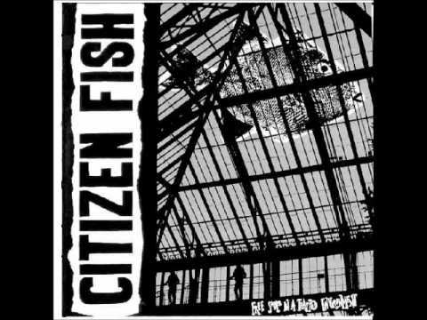 Citizen Fish - Small Scale Wars