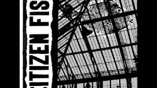 Citizen Fish - Small Scale Wars