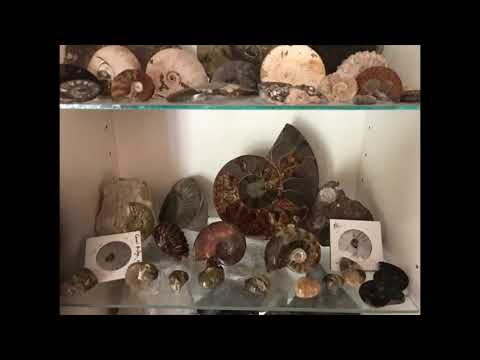 My Collection 18/08-2019