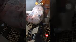 Download lagu 16k882 mp3