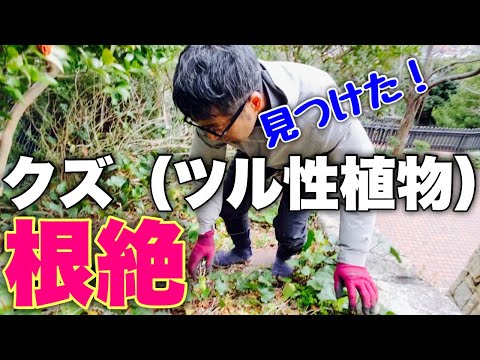 マンフレッド・エイゲン - 定義