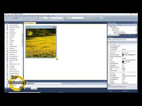 Visual Basic 41 How To Add Zoom In Project