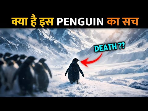 2007 का Viral Penguin Video: क्या ये Suicide था या Survival? | Antarctica Documentary Truth