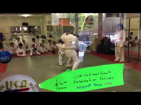 Bushido Karate Shotokan USA fun class