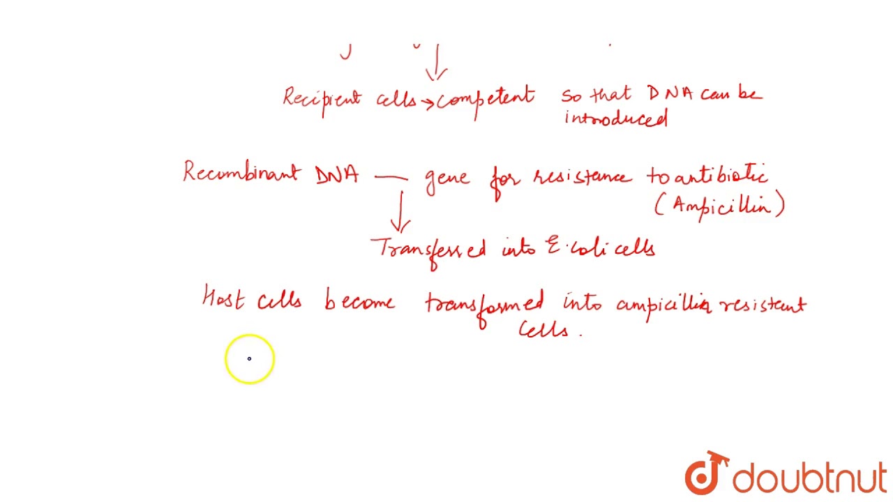 INSERTION OF RECOMBINANT DNA INTO THE HOST CELL/ORGANISM