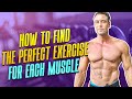 How to Find the Perfect Exercise for Each Muscle