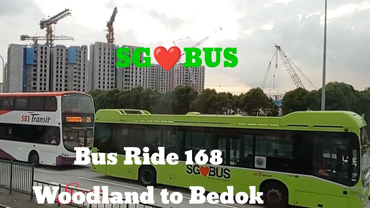 Bus Ride 168 Woodland To Bedok #travel