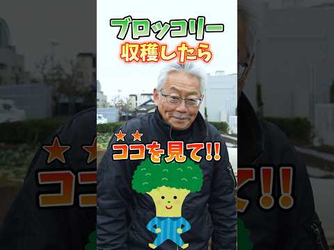 IUCN分類における絶滅の危険性を示す図。