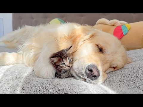 YouTube 썸네일