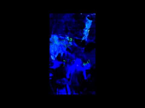 XIKWRI NEYRRA @ Metagenesis 9 2014